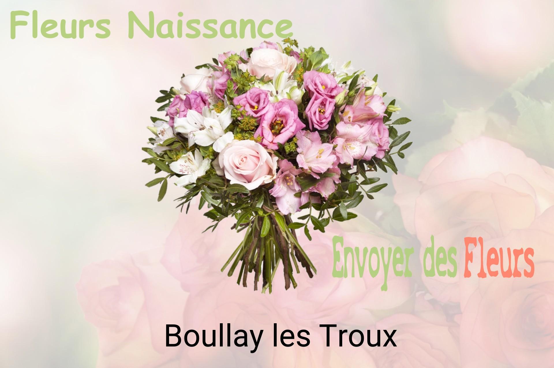 Bouquet de fleurs de naissance livré à Boullay-les-Troux